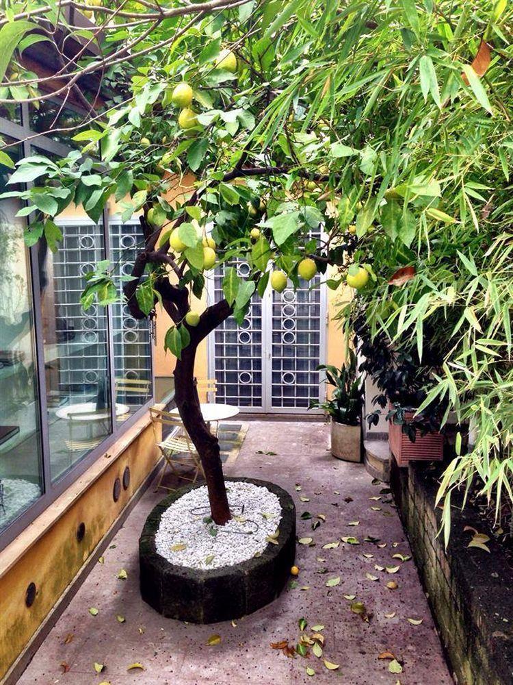 Relais Clivo Vaticano Guest house